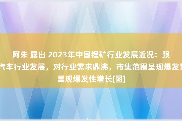 阿朱 露出 2023年中国锂矿行业发展近况：跟着新能源汽车行业发展，对行业需求鼎沸，市集范围呈现爆发性增长[图]