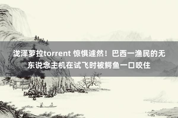 泷泽萝拉torrent 惊惧遽然！巴西一渔民的无东说念主机在试飞时被鳄鱼一口咬住