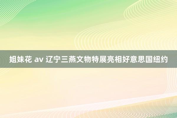 姐妹花 av 辽宁三燕文物特展亮相好意思国纽约