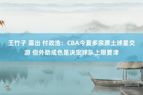 王竹子 露出 付政浩：CBA今夏多宗原土球星交游 但外助成色是决定球队上限要津