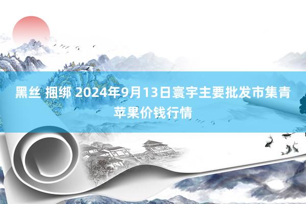 黑丝 捆绑 2024年9月13日寰宇主要批发市集青苹果价钱行情