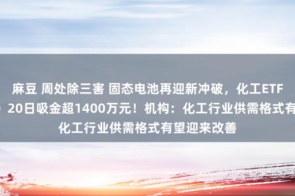 麻豆 周处除三害 固态电池再迎新冲破，化工ETF（516020）20日吸金超1400万元！机构：化工行业供需格式有望迎来改善