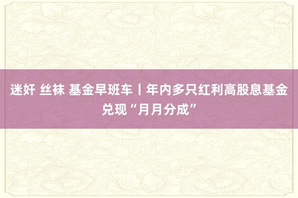 迷奸 丝袜 基金早班车丨年内多只红利高股息基金兑现“月月分成”