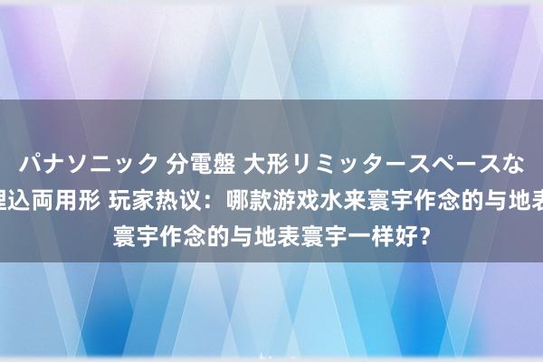 パナソニック 分電盤 大形リミッタースペースなし 露出・半埋込両用形 玩家热议：哪款游戏水来寰宇作念的与地表寰宇一样好？