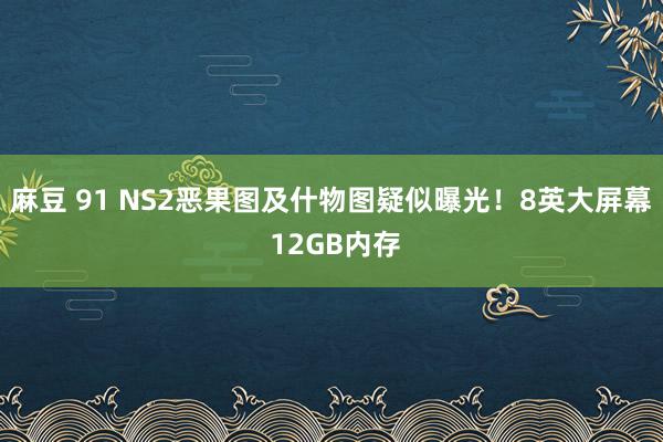 麻豆 91 NS2恶果图及什物图疑似曝光！8英大屏幕 12GB内存