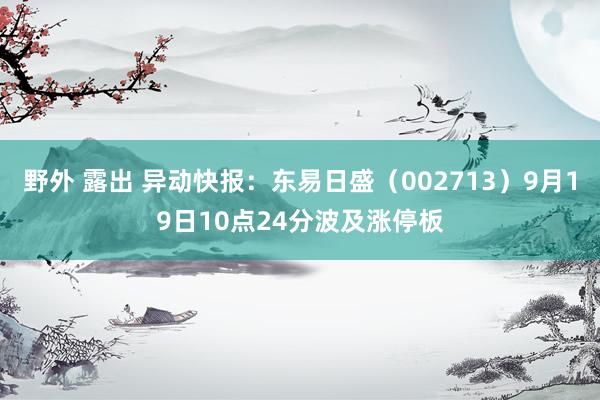 野外 露出 异动快报：东易日盛（002713）9月19日10点24分波及涨停板