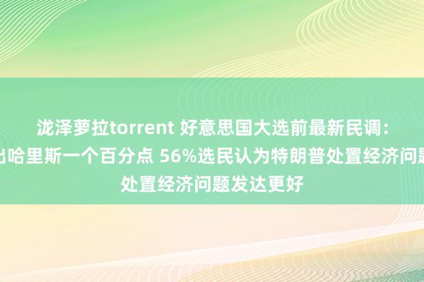 泷泽萝拉torrent 好意思国大选前最新民调：特朗普高出哈里斯一个百分点 56%选民认为特朗普处置经济问题发达更好