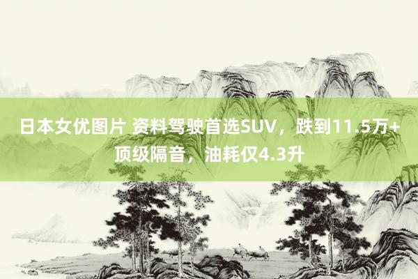 日本女优图片 资料驾驶首选SUV，跌到11.5万+顶级隔音，油耗仅4.3升