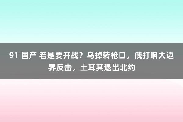 91 国产 若是要开战？乌掉转枪口，俄打响大边界反击，土耳其退出北约