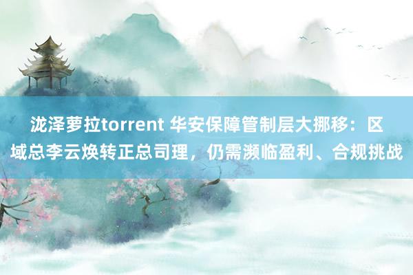 泷泽萝拉torrent 华安保障管制层大挪移：区域总李云焕转正总司理，仍需濒临盈利、合规挑战