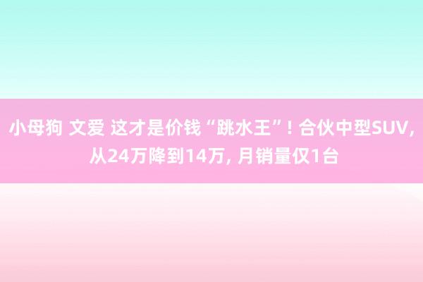 小母狗 文爱 这才是价钱“跳水王”! 合伙中型SUV， 从24万降到14万， 月销量仅1台