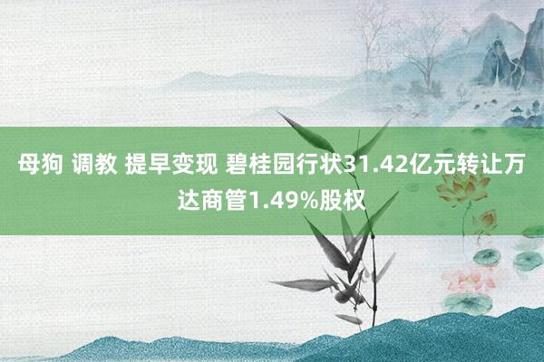 母狗 调教 提早变现 碧桂园行状31.42亿元转让万达商管1.49%股权