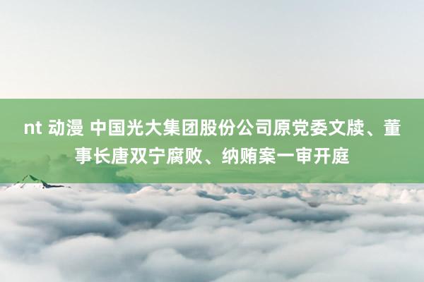 nt 动漫 中国光大集团股份公司原党委文牍、董事长唐双宁腐败、纳贿案一审开庭