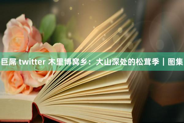 巨屌 twitter 木里博窝乡：大山深处的松茸季｜图集