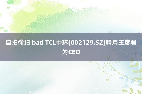 自拍偷拍 bad TCL中环(002129.SZ)聘用王彦君为CEO