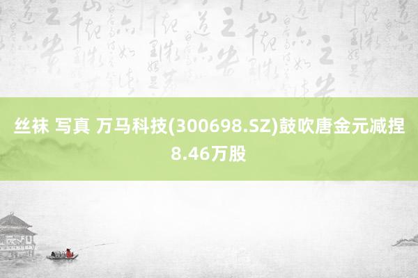 丝袜 写真 万马科技(300698.SZ)鼓吹唐金元减捏8.46万股