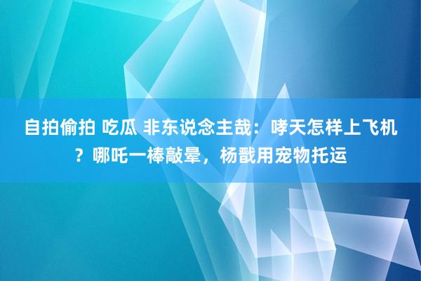 自拍偷拍 吃瓜 非东说念主哉：哮天怎样上飞机？哪吒一棒敲晕，杨戬用宠物托运