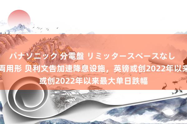 パナソニック 分電盤 リミッタースペースなし 露出・半埋込両用形 贝利文告加速降息设施，英镑或创2022年以来最大单日跌幅