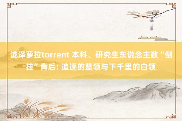 泷泽萝拉torrent 本科、研究生东说念主数“倒挂”背后: 追逐的蓝领与下千里的白领