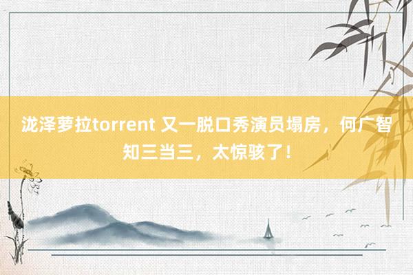 泷泽萝拉torrent 又一脱口秀演员塌房，何广智知三当三，太惊骇了！