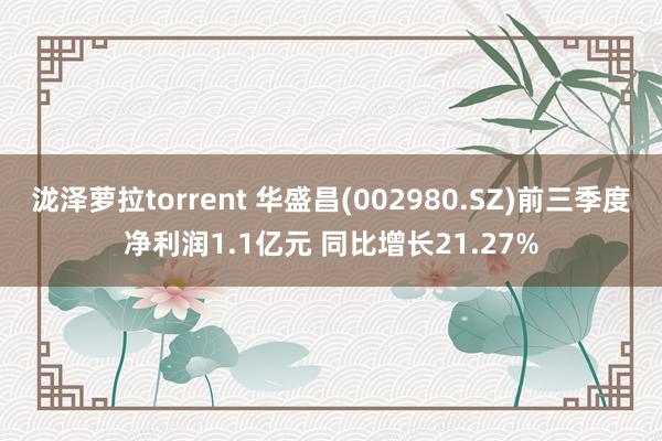 泷泽萝拉torrent 华盛昌(002980.SZ)前三季度净利润1.1亿元 同比增长21.27%