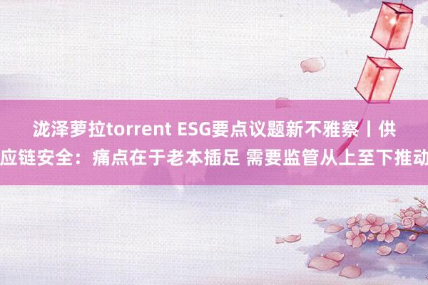 泷泽萝拉torrent ESG要点议题新不雅察丨供应链安全：痛点在于老本插足 需要监管从上至下推动