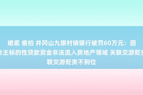 裙底 偷拍 井冈山九银村镇银行被罚60万元：因个东说念主标的性贷款资金非法流入房地产领域 关联交游贬责不到位