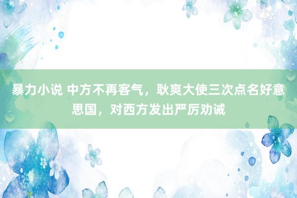 暴力小说 中方不再客气，耿爽大使三次点名好意思国，对西方发出严厉劝诫