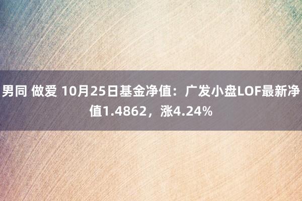 男同 做爱 10月25日基金净值：广发小盘LOF最新净值1.4862，涨4.24%