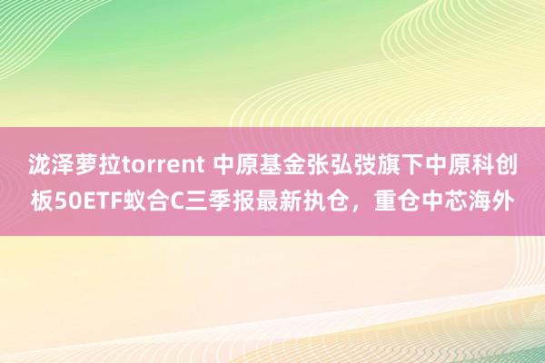 泷泽萝拉torrent 中原基金张弘弢旗下中原科创板50ETF蚁合C三季报最新执仓，重仓中芯海外