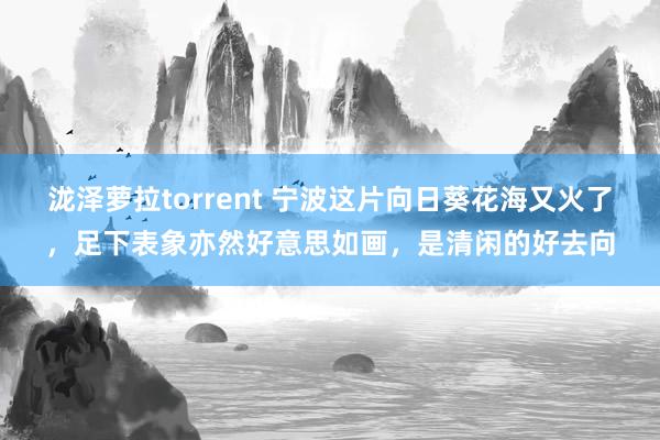 泷泽萝拉torrent 宁波这片向日葵花海又火了，足下表象亦然好意思如画，是清闲的好去向