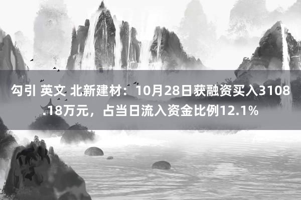 勾引 英文 北新建材：10月28日获融资买入3108.18万元，占当日流入资金比例12.1%