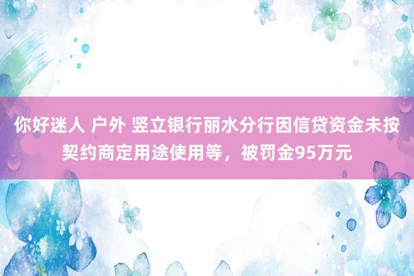 你好迷人 户外 竖立银行丽水分行因信贷资金未按契约商定用途使用等，被罚金95万元