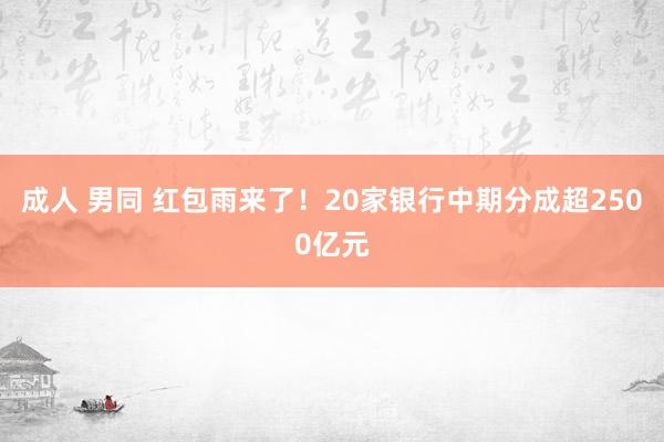 成人 男同 红包雨来了！20家银行中期分成超2500亿元