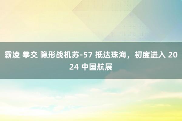 霸凌 拳交 隐形战机苏-57 抵达珠海，初度进入 2024 中国航展