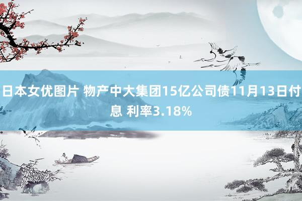 日本女优图片 物产中大集团15亿公司债11月13日付息 利率3.18%