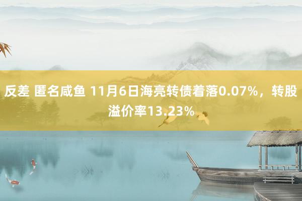 反差 匿名咸鱼 11月6日海亮转债着落0.07%，转股溢价率13.23%