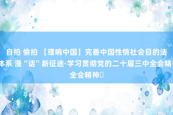 自拍 偷拍 【理响中国】完善中国性情社会目的法治体系 漫“话”新征途·学习贯彻党的二十届三中全会精神㉖