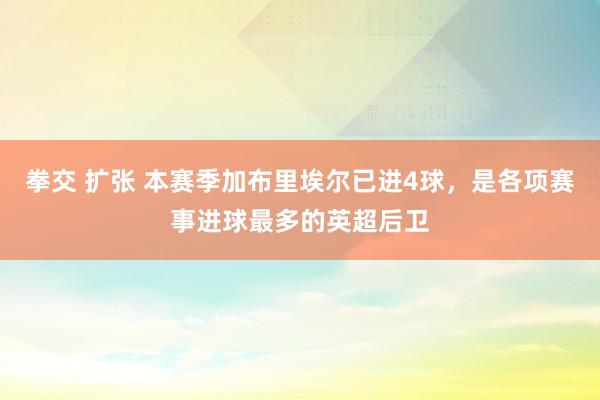 拳交 扩张 本赛季加布里埃尔已进4球，是各项赛事进球最多的英超后卫