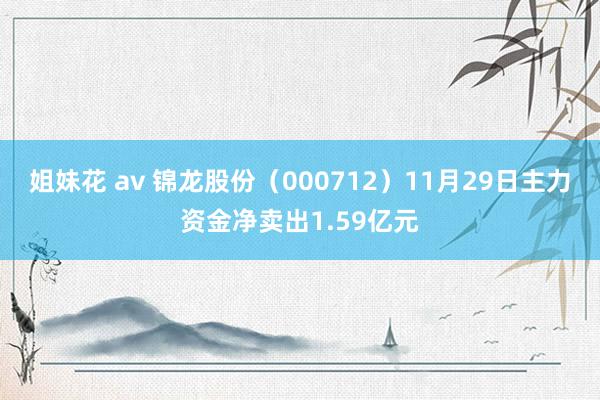 姐妹花 av 锦龙股份（000712）11月29日主力资金净卖出1.59亿元