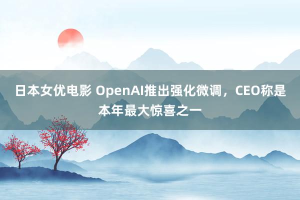 日本女优电影 OpenAI推出强化微调，CEO称是本年最大惊喜之一