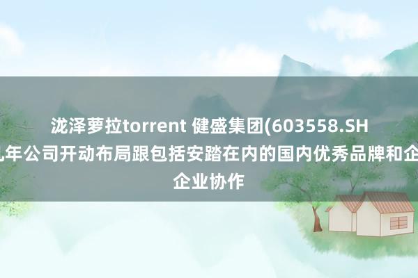 泷泽萝拉torrent 健盛集团(603558.SH)：近几年公司开动布局跟包括安踏在内的国内优秀品牌和企业协作