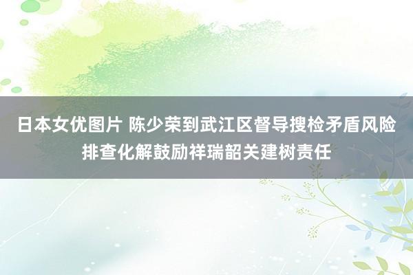 日本女优图片 陈少荣到武江区督导搜检矛盾风险排查化解鼓励祥瑞韶关建树责任