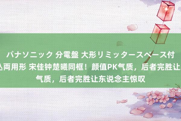 パナソニック 分電盤 大形リミッタースペース付 露出・半埋込両用形 宋佳钟楚曦同框！颜值PK气质，后者完胜让东说念主惊叹