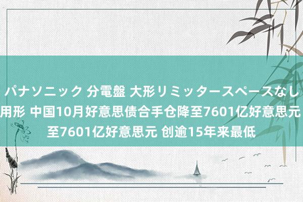 パナソニック 分電盤 大形リミッタースペースなし 露出・半埋込両用形 中国10月好意思债合手仓降至7601亿好意思元 创逾15年来最低