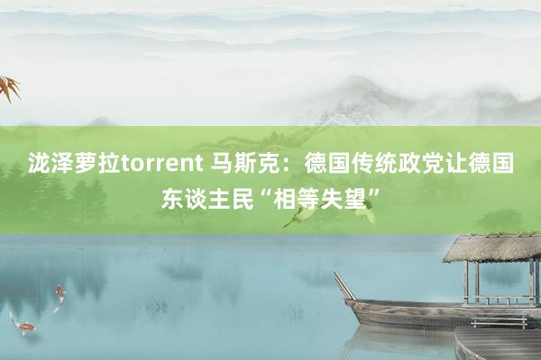 泷泽萝拉torrent 马斯克：德国传统政党让德国东谈主民“相等失望”