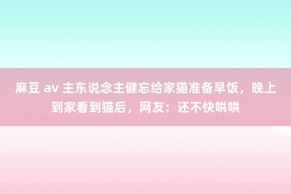 麻豆 av 主东说念主健忘给家猫准备早饭，晚上到家看到猫后，网友：还不快哄哄