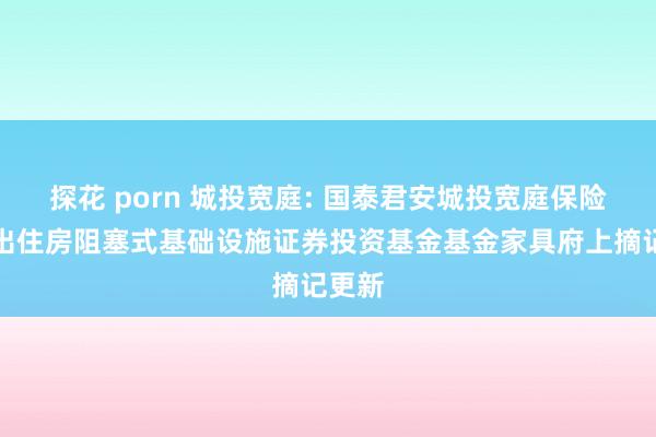 探花 porn 城投宽庭: 国泰君安城投宽庭保险性租出住房阻塞式基础设施证券投资基金基金家具府上摘记更新