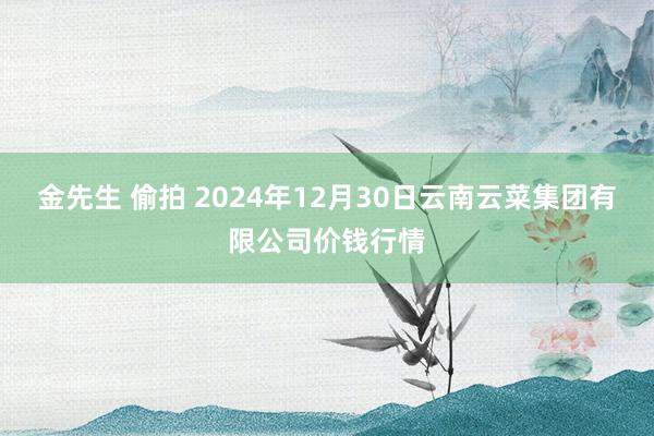 金先生 偷拍 2024年12月30日云南云菜集团有限公司价钱行情