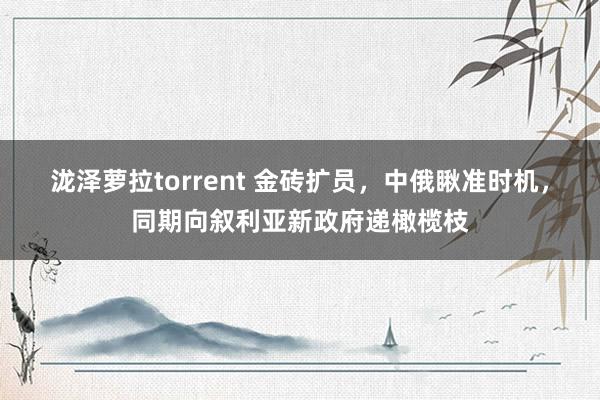 泷泽萝拉torrent 金砖扩员，中俄瞅准时机，同期向叙利亚新政府递橄榄枝